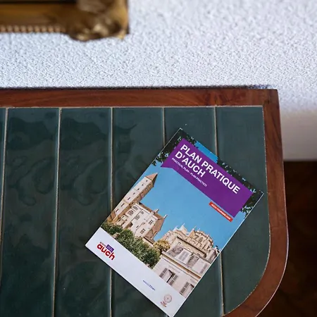 Le Grand Auscitain - 95 M2 Au Centre Historique Appartement Auch